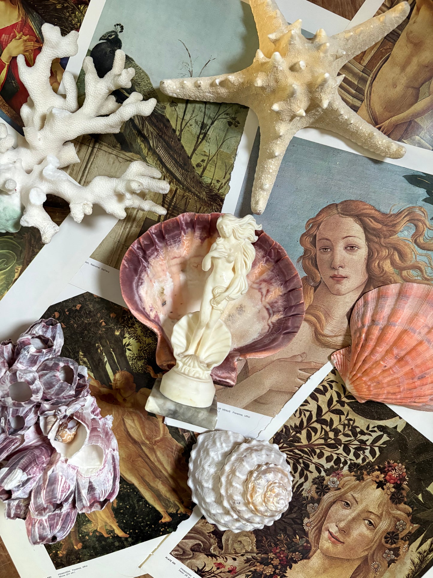 Birth of Venus Alabaster Composite Statue on Marble Base